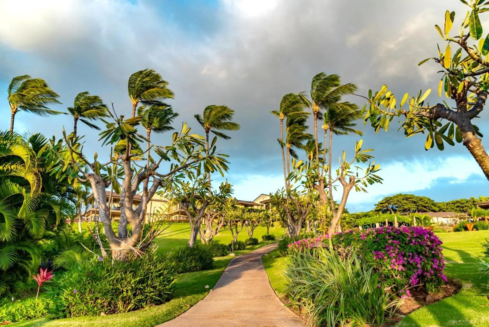 Apartment Kbm Resorts Free Car Wailea Elua Village Wev-2103 Spacious With Ocean Views